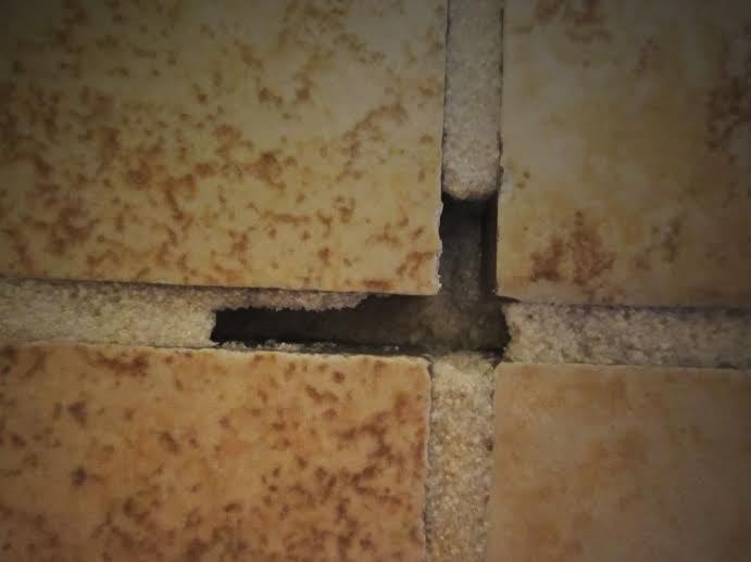 Missing Grout?