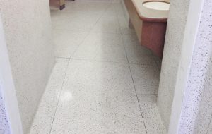 Terrazzo bathroom floor
