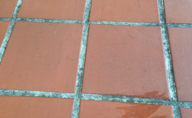 Historical prevention of quarry tile floor