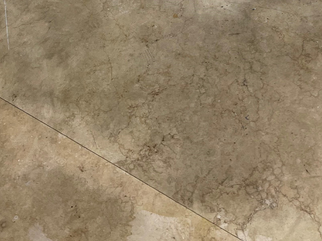 Limestone Floor Restoration